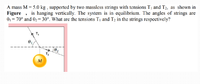 A mass M = 5.0 kg , supported by two massless strings with tensions T1 and T2, as shown in
Figure
= 70° and 02=30°. What are the tensions T1 and T2 in the strings respectively?
is hanging vertically. The system is in equilibrium. The angles of strings are
T,
M
