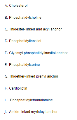 Answered: A. Cholesterol B. Phosphatidylcholine… | Bartleby