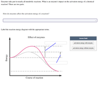 Enzymes take part in nearly all metabolic reactions. What is an enzyme's impact on the activation energy of a chemical
reaction? There are two parts.
How do enzymes affect the activation energy of a reaction?
Label the reaction energy diagram with the appropriate terms.
Effect of enzymes
Answer Bank
activation energy with enzyme
activation energy without enzyme
Course of reaction
Energy
