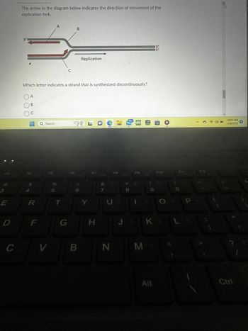 3
E
D
C
The arrow in the diagram below indicates the direction of movement of the
replication fork.
5'
S
R
F
Q Search
Which letter indicates a strand that is synthesized discontinuously?
OA
Ов
ос
V
A
F5
T
C
G
B
F6
T
6
Replication
B
LDL
Y
F7
H
&
7
WALLS
U
N
F8
* 00
99+
8
J₁
F9
kirimmi
MO
35
Alt
מם
E
K 2
F10
L
P
<
F12
10:05 AM
4/8/2023
Ctrl
10
B