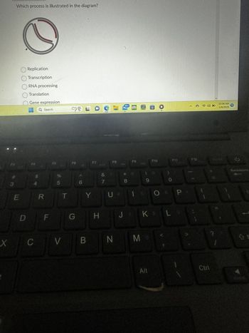 X
F3
3
Which process is illustrated in the diagram?
E
O Replication
O Transcription
ORNA processing
O Translation
D
Gene expression
Q Search
F4
C
$
4
R
F
F5
5
V
T
2
F6
G
6
L
F7
Y
B
H
&
7
F8
U
N
99+
* 00
8
F9
SHERI
9
Me
SU
MER
Alt
F10
O
J K 2 L
0
F11
P
F12
10:38 AM
4/8/2023
1
10
G
Backspace