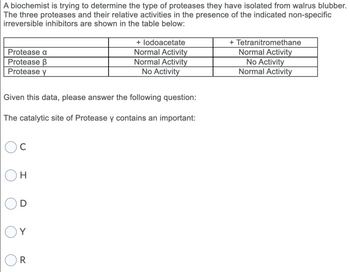 A biochemist is trying to determine the type of proteases they have isolated from walrus blubber.
The three proteases and their relative activities in the presence of the indicated non-specific
irreversible inhibitors are shown in the table below:
Protease a
Protease B
Protease y
Given this data, please answer the following question:
The catalytic site of Protease y contains an important:
с
H
Y
+ lodoacetate
Normal Activity
Normal Activity
No Activity
R
+ Tetranitromethane
Normal Activity
No Activity
Normal Activity