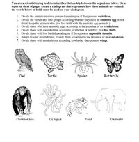 Answered: 1. Divide the animals into two groups… | bartleby