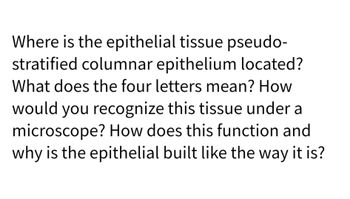 Where is the epithelial tissue pseudo-
stratified columnar epithelium located?
What does the four letters mean? How
would you recognize this tissue under a
microscope? How does this function and
why is the epithelial built like the way it is?