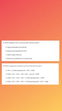 21. What happens when a photosystem absorbs light? *
A. Sugar phosphates are produced
B. Electrons are transferred to ATP
C. RUBP accepts electrons
D. Electrons are ejected from its special pair
25. Which sequence correctly occurs in the Calvin cycle? *
A. 3PG –1,3-biphosphoglycerate G3P – RUBP
B. RUBP + CO2 → PGA – 3PG –G3P – glucose -RUBP
C. RUBP + CO2 – PGA - 3PG -1,3-biphosphoglycerate - RUBP
D. RUBP + CO2 – PGA – 3PG –1,3-biphosphoglycerate -G3P - RUBP
