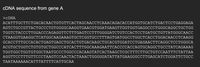 CDNA sequence from gene A
>CDNA
АСАТTTGCTTтсTGACACAACТСTGТТСАСТAGCAACСТСАААСAGACACCАTGGTGCATCTGAСТССТGAGGAGA
AGTCTGCCGTTACTGCCCTGTGGGGCAAGGTGAACGTGGATGAAGTTGGTGGTGAGGCCCTGGGCAGGCTGCTGG
TGGTCTACCСТTGGACCCAGAGGTTCTTTGAGTCCTTTGGGGATCTGTССАСТССТGATGCTGTTATGGGCAACC
CTAAGGTGAAGGCTCATGGCAAGAAAGTGCTCGGTGCCTTTAGTGATGGCCTGGCTCACCTGGACAACCTCAAGG
GCACCTTTGCCACACTGAGTGAGCTGCACTGTGACAAGCTGCACGTGGATCCTGAGAACTTCAGGCTCCTGGGCA
ACGTGCTGGTCTGTGTGCTGGCCCATCАСТТTGGCAAAGAATTCACСССАССАGTGCAGGCTGCСТАТСАGAAAG
TGGTGGCTGGTGTGGCTAАTGCCCTGGСССАСААGTAТСАСТААGCТCGCTTTСТTGCTGTCCAAТТТСТАТТАА
AGGTTCCTTTGTTCCCTAAGTCCAACTACTAAACTGGGGGATATTATGAAGGGCCTTGAGCATCTGGATTCTGCC
ΤAAΤAAAAACAΤΤΤATTTTCATTGCAA
