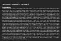 Chromosomal DNA sequence from gene A
>chromosomal
АСАТTTGCTТСTGACACAAСTGTGTTCACТAGCAACСТСАААСАGACAССАTGGTGCAТСТGАСТССТGAGGAGA
AGTCTGCCGТТАСTGCCСTGTGGGGCAAGGTGAACGTGGATGAAGTTGGTGGTGAGGCССTGGGCAGGTTGGTAT
САAGGTTACАAGACAGGTТТАAGGAGACСААТАGAAAСTGGGCATGTGGAGACAGAGAAGACTCTTGGGTTTCTG
АTAGGCACTGACTCТСТСТGCCТАТТGGTСТАТТТТСССАСССТТАGGСTGCTGGTGGТСТАСССТТGGACCCAG
AGGTTCTTTGAGTCCTTTGGGGATCTGTCСАСТССТGATтGCTGTTATGGGCAACCCTАAGGTGAAGGCТСАТGGC
AAGAAAGTGCTCGGTGCCТТTAGTGATGGCCTGGCTCАССTGGACAАССТСААGGGCACCTTTGCСАСАСТGAGТ
GAGCTGCACTGTGACAAGСTGCACGTGGATCCTGAGAАСТТСАGGGTGAGTCTATGGGACGCTTGATGTTTTCTТ
ТССССТТСТТTТСТАТGGТТАAGTTCATGTCATAGGAAGGGGATAAGTAACAGGGTАСAGTTTAGAATGGGAAAС
AGACGAATGATTGCATCAGTGTGGAAGTСТСAGGATCGTTTTAGTTТСТТТТАТТТGCTGTTCATААСААТТGTТ
TТСТТTTGTТТААТТСТТGCTTTCTTTTTTTTTСTТCТСCGCAATTТTТАСТАТТАТАСТТААТGССТТААСАТТ
GTGTATAACАААAGGAAAТАТСТСТGAGATACATTAAGTAACTTАAAAAAAAАСТТТАСАСAGTCTGCСТAGTAС
ΑΤTACΤΑΤΤTGGAATATATGTGΤGCTTAΤTTGCAΤΑΤ TCAΤAATCTCCCTACTTTATΤTTCTTΤ ΤATTTTAAT Τ
GATACΑΤAAT CAT TATACATAT ΤΤATGGGTTAAAGTGTAATGTTTΑΑΤΑΤGTGTACACATAT T GAC CAAATCAG
GGTAATTTT GCATTTGTAAΤΤΤTAΑAAAT GCTTTCTTCTTTTAΑΤΑTACTTTTTTGTTTATCTTATTTCTAATA
СТТТСССТААТСТСТТТСТТТСAGGGCAАТААТGATAСААТGTATСАTGCСТСТТТGCACCATTCТАААGAATAА
СAGTGATAAТТТСTGGGTТАAGGCAATAGCAATATСTСTGCАTАТАААТАТТТСТGCATATAAATTGТAАСТGAТ
GTAAGAGGTTТСАТАТТGСТААТАGCAGCTACAАТССAGCTАCСАTТСTGСTTТТАТТTТАTGGTTGGGATAAGG
СTGGATTATТСTGAGTCCАAGCTAGGCCСТТТTGCTААТСАТGTTCАТАССТСТТАТСТТССТСССАСAGCTCСТ
GGGCAACGTGCTGGTCTGTGTGCTGGCCCАТСАСТТТGGCAAAGAATTСАССССАССАGTGCAGGCTGCCTAТCА
GAAAGTGGTGGCTGGTGTGGCTAАТGCCCTGGCCCACAGTATCАСТАAGCTCGCTTTСТTGCTGTCCААТТТСТ
АТТААAGGTТССТТTGTTСССТААGTCСААСТАСТАААСTGGGGGAТАТТАТGAAGGGCCTTGAGCATСTGGATТ
CTGCCΤAΑΤΑΑΑAAACAΤTTATTTCAT TGCAA
