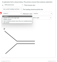 A replication fork is shown below. The primary enzyme that catalyzes replication
is
DNA polymerase
That enzyme also
has a proof-reading mechanis
The leading strand would be the
[ Select ]
Helicase is a(n) enzyme
[ Select ]
left to right
double helix to the right side
bottom strand
top or bottom strand, since they are complementary.
top strand
3'
