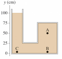 y (cm)
100 -
75
A
50 -
25 -
В
