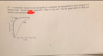 23. A researcher wanted to use myoglobin as a substitute for hemoglobin to carry oxygen in a
human body. Would this be successful? Why or why not? Use the graph below to help you
answer your question.
Fractional Saturation
D.B
0.6
0.4
0.2
Mb
20
40
Hb
60
po, (tor)
80
100
3