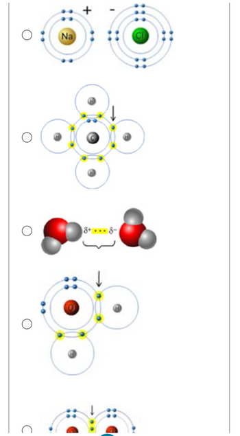 Answered: Which Of These Bonds Is Weakest?… 