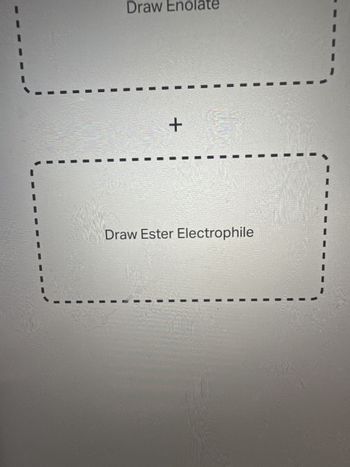 Draw the enolate anion and the ester that would be
needed to make this product through a Claisen
condensation reaction.
O
Draw Enolate
+
O