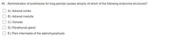 40. Administration of prednisone for long periods causes atrophy of which of the following endocrine structures?
A) Adrenal cortex
B) Adrenal medulla
C) Gonads
D) Parathyroid gland
E) Pars intermedia of the adenohypophysis