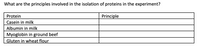 What are the principles involved in the isolation of proteins in the experiment?
Protein
Principle
Casein in milk
Albumin in milk
Myoglobin in ground beef
Gluten in wheat flour
