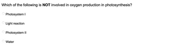 Which of the following is NOT involved in oxygen production in photosynthesis?
O
O
Photosystem I
Light reaction
Photosystem II
Water