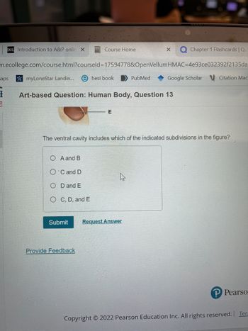 D2L Introduction to A&P onlin X
m.ecollege.com/course.html?courseld=17594778&OpenVellum
aps
myLoneStar Landin... hesi book PubMed
I Art-based Question: Human Body, Question 13
E
O A and B
C and D
Course Home
OD and E
O C, D, and E
Submit
The ventral cavity includes which of the indicated subdivisions in the figure?
Provide Feedback
E
X
Chapter 1 Flashcards | Qui
HMAC=4e93ce032392f2135da
4
Request Answer
Google Scholar Citation Mac
P Pearso
Copyright © 2022 Pearson Education Inc. All rights reserved. Teri