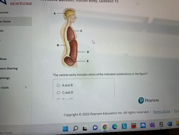 ourses
se Home
us
Area
MONTGOME
ment Sharing
ettings
e Tools
tly cloudy
A
Human Body, Question 13
O A and B
OC and D
C
The ventral cavity includes which of the indicated subdivisions in the figure?
E
OL
P Pearson
Copyright © 2022 Pearson Education Inc. All rights reserved. | Terms of Use
W
Priv