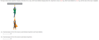 The figure below shows Superhero hanging motionless from a rope, with Trusty Sidekick hanging below him. Superhero's mass is 82.5 kg, while Trusty Sidekick's is 51.5 kg, and the mass of the rope is negligible.
(a) Find the tension (in N) in the rope at a point between Superhero and Trusty Sidekick.
N
(b) Find the tension (in N) in the rope at a point above Superhero.
N