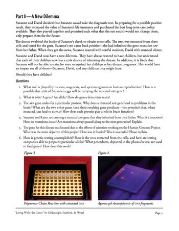 Part II-A New Dilemma
Suzanne and David decided that Suzanne would take the diagnostic test. In preparing for a possible positive
result, they increased the value of Suzanne's life insurance and purchased the best long-term care policy
available. They also prayed together and promised each other that the test results would not change them,
only prepare them for the future.
The doctor swabbed the inside of Suzanne's cheek to obtain some cells. The DNA was extracted from these
cells and tested for the gene. Suzanne's test came back positive-she had inherited the gene mutation APP
from her father. When they got the news, Suzanne reacted with tearful stoicism, David with stunned silence.
Suzanne and David now have a new dilemma. They have always wanted to have children, but understand
that each of their children now has a 50% chance of inheriting the disease. In addition, it is likely that
Suzanne will not be able to raise (or even recognize) her children as her disease progresses. This would have
an impact on all of them-Suzanne, David, and any children they might have.
Should they have children?
Questions
1. What role is played by meiosis, oogenesis, and spermatogenesis in human reproduction? How is it
possible that 50% of Suzanne's eggs will be carrying the mutated APP gene?
2. What is DNA? A gene? An allele? How do genes determine traits?
3. The APP gene codes for a particular protein. Why does a mutated APP gene lead to problems in the
brain? What are the two other genes (and their resulting gene products-the proteins) that, when
mutated, can lead to EOFAD? How does each protein play a role in brain function?
4. Suzanne and Karen are carrying a mutated APP gene that they inherited from their father. What is a mutation?
How do mutations occur? Are mutations always passed along to the next generation? Explain.
5. The gene for this disease was located due to the efforts of scientists working on the Human Genome Project.
What was the main objective of this project? How was it funded? Was it successful? Please explain.
6. How is genetic testing accomplished? How is the DNA extracted from the cells, and how are testing
companies able to pinpoint particular alleles? What procedures, depicted in the photos below, are used
to find genes? How does this work?
Figure 3
Figure 4
Polymerase Chain Reaction with extracted DNA.
"Living With Her Genes" by Gildensoph, Stanford, & Wygal
Agarose gel electrophoresis of DNA fragments.
Page 3