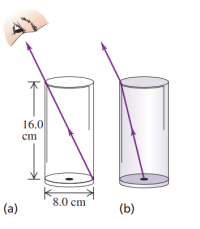 16.0
cm
8.0 cm
(a)
(b)
