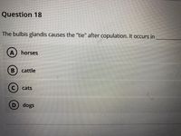 Question 18
The bulbis glandis causes the "tie" after copulation. It occurs in
A) horses
B cattle
cats
dogs
