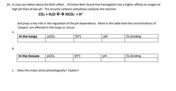 Answered: 24. In class we talked about the Bohr… | bartleby