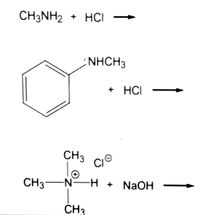 CH3NH2
+ HCI
+
NHCH3
+ HCI
CH3 CIo
CH3-N
H +
NaOH
CH3
