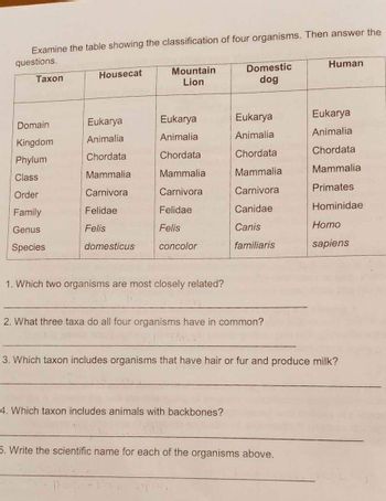 Answered: Examine the table showing the… | bartleby