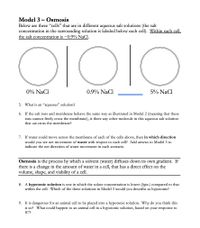 Model 3- Osmosis
Below are three "cells" that are in different aqueous salt solutions (the salt
concentration in the surrounding solution is labeled below each cell). Within each cell,
the salt concentration is ~0.9% NaCl.
OIOIO
0% NaCl
0.9% NaCl
5% NaCl
5. What is an "aqueous" solution?
6.
If the salt ions and membrane behave the same way as illustrated in Model 2 (meaning that these
ions cannot freely cross the membrane), is there any other molecule in this aqueous salt solution
that can cross the membrane?
7. If water could move across the membrane of each of the cells above, then in which direction
would you see net movement of water with respect to each cell? Add arrows to Model 3 to
indicate the net direction of water movement in each scenario.
Osmosis is the process by which a solvent (water) diffuses down its own gradient. If
there is a change in the amount of water in a cell, that has a direct effect on the
volume, shape, and viability of a cell.
8. A hypotonic solution is one in which the solute concentration is lower (hypo-) compared to that
within the cell. Which of the three solutions in Model 3 would you describe as hypotonic?
9. It is dangerous for an animal cell to be placed into a hypotonic solution. Why do you think this
is so? What could happen to an animal cell in a hypotonic solution, based on your response to
#7?