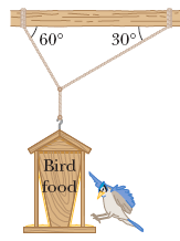 60°
30
Bird
food
