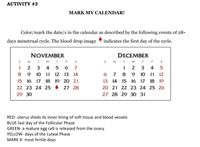 АСTIVITY #3
MARK MY CALENDAR!
Color/mark the date/s in the calendar as described by the following events of 28-
days menstrual cycle. The blood drop image indicates the first day of the cycle.
NOVEMBER
T W
DECEMBER
SMT w
1 2
T F
T F
1 2
3
4
5 6 7
3
4
5
8
9 10 11 12
13 14
6 7
8
9 10 11 12
15 16 17 18 19 20 21
13 14 15 16 17 18 19
22 23 24 25 • 27 28
20 21 22 23 24 25 26
29 30
27 28 29 3O 31
RED- uterus sheds its inner lining of soft tissue and blood vessels
BLUE-last day of the Follicular Phase
GREEN- a mature egg cell is released from the ovary
YELLOW- days of the Luteal Phase
MARK X- most fertile days
