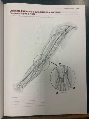 metave violeluc Labeling Exercises
LABELING EXERCISE 6-6: M-SHAPED ARM VEINS
(Textbook Figure 6-16A)
129
BAJ
(81-0 osugi loodxoT) BIB
Write the name of each numbered structure on the corresponding numbered line.no
1.
2.
3.
Wolters Kluwer.
2
M-Pattern
3