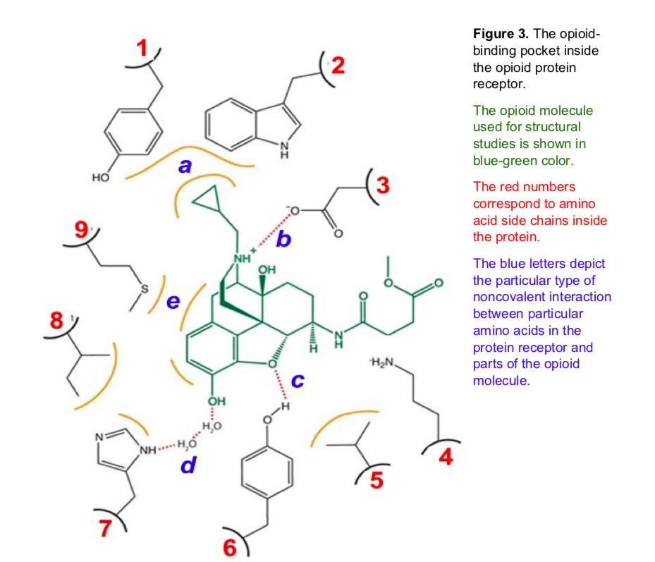 Answered: 8. From Figure 3, Identify The… | Bartleby