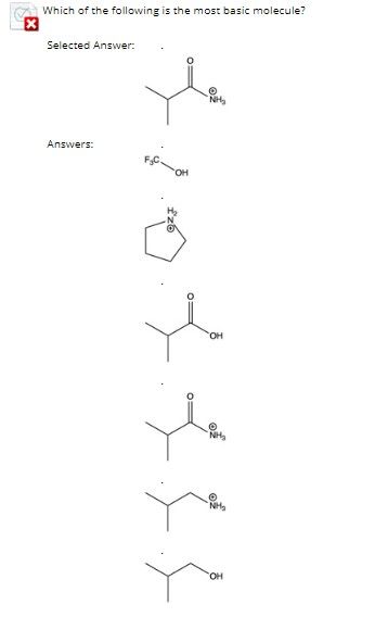 Which of the following is the most basic molecule?
Selected Answer:
Answers:
.
NH₂
OH
Ⓡ
"NH₂
NH₂
OH