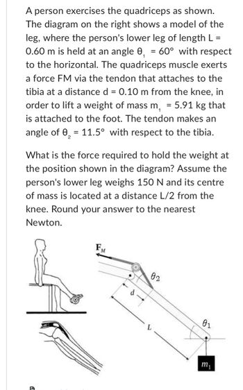 Solved 3. An athlete weighing 750 N performs an iron cross