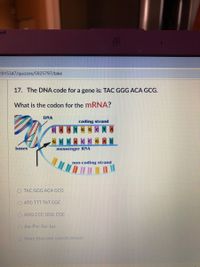 Answered: What is the codon for the MRNA? DNA… | bartleby