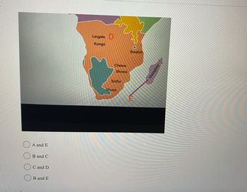 A and E
B and C
C and D
B and E
Lingala D
Kongo
Chewa
Showa
Sotho
Xhosa
Swahili
Malagasy