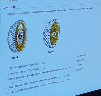 Question 11
Matching: (one answer can be matched to more than one questions). An answer can be used more than once to match a question.
Figure 1
3
V
Figure 2
✓ The structure shown in Figure 1 is a
The structure shown in Figure 2 is a
✓ Drug 1 (triangle) that is encapsulated in between the bilayer structure needs to be a
drug.
Drug 2 (diamond) that is encapsulated in the core needs to be a
Drug 3 (pentagon) that is encapsulated in the core needs to be a
drug
drug.
A. hydrophobic
B. Liposome
C.Micelle
D. hydrophilic