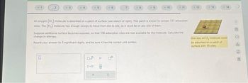 0
OP
An oxygen (0.) molecule is adsorbed on a patch of surface (see sketch at right). This patch is known to contain 121 adsorption
sites. The (0₂) molecule has enough energy to move from site to site, so it could be on any one of them.
D.O
Suppose additional surface becomes exposed, so that 196 adsorption sites are now available for the molecule. Calculate the
change in entropy.
Round your answer to 3 significant digits, and be sure it has the correct unit symbol.
H
Do
7
8
8
S
10
11
12
13
14
One way an O, molecule could
be adsorbed on a patch of
surface with 16 stes
D
5