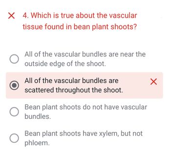 X 4. Which is true about the vascular
tissue found in bean plant shoots?
All of the vascular bundles are near the
outside edge of the shoot.
All of the vascular bundles are
scattered throughout the shoot.
Bean plant shoots do not have vascular
bundles.
Bean plant shoots have xylem, but not
phloem.
×