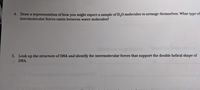 4. Draw a representation of how you might expect a sample of H,0 molecules to arrange themselves. What type of
intermolecular forces exists between water molecules?
5. Look up the structure of DNA and identify the intermolecular forces that support the double helical shape of
DNA.
