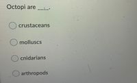 ### Multiple-Choice Question: Biological Classification

#### Question:
Octopi are ____.

#### Options:
- ○ crustaceans
- ○ molluscs
- ○ cnidarians
- ○ arthropods

#### Explanation:
This multiple-choice question asks the student to classify octopi. The correct choice should be selected from the given options: crustaceans, molluscs, cnidarians, and arthropods. 

#### Detailed Insights on the Options:
- **Crustaceans:** These are primarily aquatic animals with segmented bodies, exoskeletons, and jointed appendages. Examples include crabs, lobsters, and shrimp.
- **Molluscs:** This category includes a diverse group of invertebrate animals, many of which have a soft body and may possess a hard shell. Examples include octopi, snails, and clams.
- **Cnidarians:** These are predominantly aquatic species that have a simple body structure with a single opening. Examples include jellyfish, corals, and sea anemones.
- **Arthropods:** This is the largest phylum in the animal kingdom, characterized by jointed limbs, segmented bodies, and exoskeletons. Examples include insects, spiders, and crustaceans.

When responding to this question, consider the anatomical and physiological characteristics of octopi and match them to the appropriate classification.