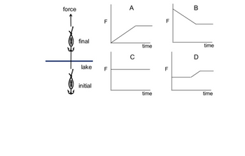force
F
A
F
B
final
lake
F
initial
с
time
time
time
D
F
time