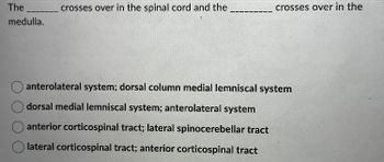 The
medulla.
crosses over in the spinal cord and the
crosses over in the
anterolateral system; dorsal column medial lemniscal system
dorsal medial lemniscal system; anterolateral system
anterior corticospinal tract; lateral spinocerebellar tract
lateral corticospinal tract; anterior corticospinal tract