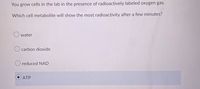 You grow cells in the lab in the presence of radioactively labeled oxygen gas.
Which cell metabolite will show the most radioactivity after a few minutes?
O water
O carbon dioxide
O reduced NAD
ATP
