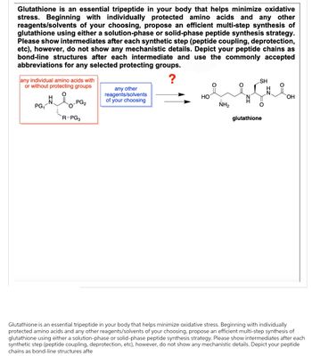 Glutathione is an essential tripeptide in your body that helps minimize oxidative
stress. Beginning with individually protected amino acids and any other
reagents/solvents of your choosing, propose an efficient multi-step synthesis of
glutathione using either a solution-phase or solid-phase peptide synthesis strategy.
Please show intermediates after each synthetic step (peptide coupling, deprotection,
etc), however, do not show any mechanistic details. Depict your peptide chains as
bond-line structures after each intermediate and use the commonly accepted
abbreviations for any selected protecting groups.
?
any individual amino acids with
or without protecting groups
PG₁
PG₂
R-PG3
any other
reagents/solvents
of your choosing
HO
NH₂
SH
0=
glutathione
OH
Glutathione is an essential tripeptide in your body that helps minimize oxidative stress. Beginning with individually
protected amino acids and any other reagents/solvents of your choosing, propose an efficient multi-step synthesis of
glutathione using either a solution-phase or solid-phase peptide synthesis strategy. Please show intermediates after each
synthetic step (peptide coupling, deprotection, etc), however, do not show any mechanistic details. Depict your peptide
chains as bond-line structures afte