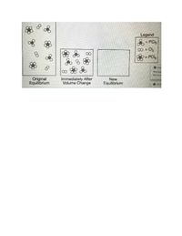 Legend
- PCI,
8 C,
= PCI;
O estu
Persana
We foun
Original
Equilibrium
Immediately After
Volume Change
New
Equilibrium
Oallns
