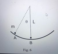 A
Fig. 6
B
