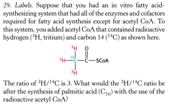 29. Labels. Suppose that you had an in vitro fatty acid-
synthesizing system that had all of the enzymes and cofactors
required for fatty acid synthesis except for acetyl CoA. To
this system, you added acetyl CoA that contained radioactive
hydrogen (³H, tritium) and carbon 14 (¹4C) as shown here.
3H O
14
3H-C-C SCOA
3H
The ratio of ³H/¹4C is 3. What would the ³H/14C ratio be
after the synthesis of palmitic acid (C₁6) with the use of the
radioactive acetyl CoA?