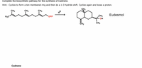 Complete the biosynthetic pathway for the synthesis of Cadinene.
Hint: Cyclize to form a ten membered ring and then do a 1-3 hydride shift. Cyclize again and loose a proton.
CH3
CH3
CH3
CH3
Eudesmol
CH3
ОPP
OH
H3C
CH3
CH2
Cadinene
